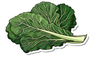 Sticker featuring Collard Greens isolated on transparent Background