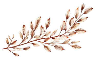 Sticker with Featherfew Branch Design isolated on transparent Background - obrazy, fototapety, plakaty
