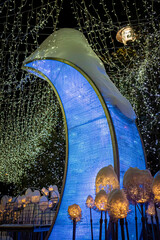 宮の森フランセス教会の風景