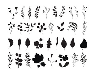 Set of silhouette icons of flowers, leaves and branches. Hand drawn, vector floral design elements, icons, shapes. Flowers, leaves, black and white outline illustrations isolated on white background.