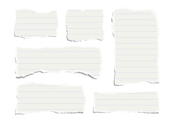 Set of torn pieces of lined paper isolated on a white background. Paper collage. 