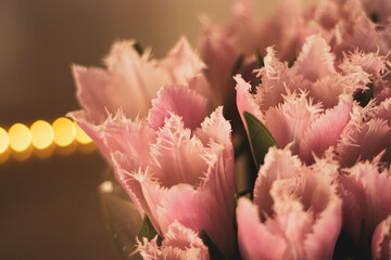 Fototapeta premium kwiaty, goździki, róże, tulipany
