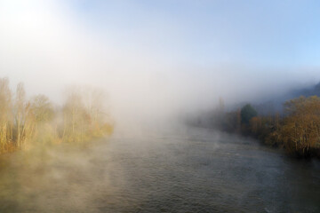  Foggy morning along the Seine river in Champagne-sur-Seine village - obrazy, fototapety, plakaty