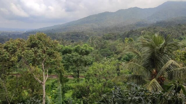 Mountain view, blue sky, durian and coconut trees