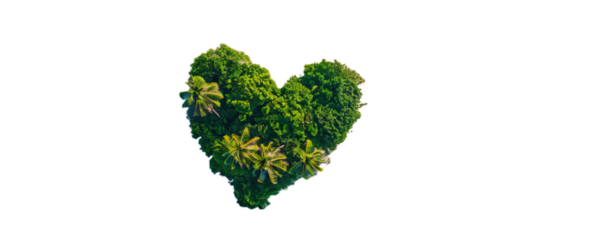 A island in the ocean with green palms in heart-shaped.