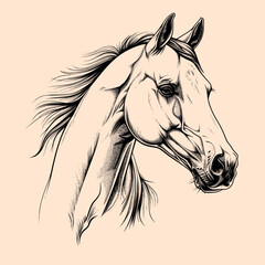 Black and White Horse Outline Silhouette Ornament Vector Art for Logo and Icon, Sketch, Tattoo, Clip Art
