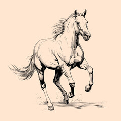 Black and White Horse Outline Silhouette Ornament Vector Art for Logo and Icon, Sketch, Tattoo, Clip Art