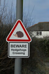 Road sign Beware Hedgehogs Crossing