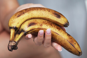 Ripe banana brown skin. Bunch of over riped bananas. Food waste background. Food scraps use. Healthy smoothie preparation. Rotten brown bananas. Woman hand holding fruits. - obrazy, fototapety, plakaty
