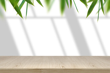 Classic mockup empty shelf with light and window- shadows and green leaves border