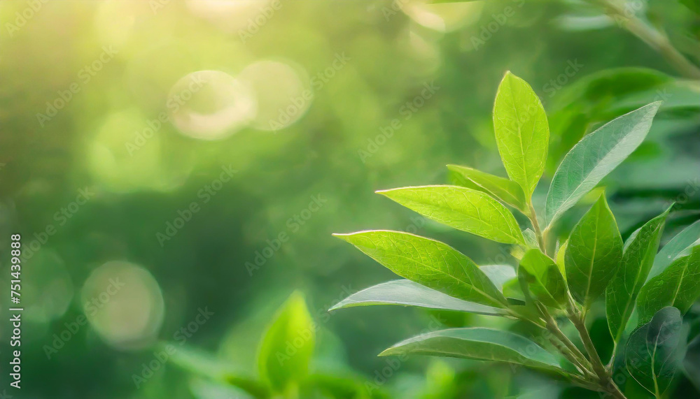Poster close up of nature view green leaf on blurred greenery background under sunlight with bokeh and copy
