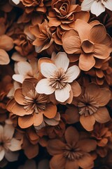 this close-up of brown flowers is on a white background