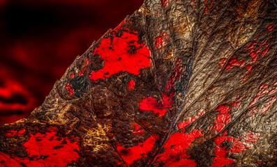 Details of a red leaf pattern, showcasing the intricate veins and texture of the leaf's surface. Red leaf macro texture. exceptional close-up showcasing the fascinating details of a single red foliage