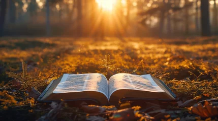 Foto op Canvas Sunshine shining on the Bible © Left