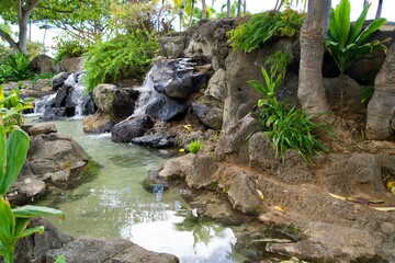 Small stone garden on Waikiki Beach