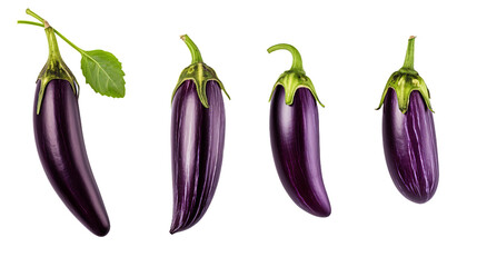 Eggplant Selection, Essential for Vegan Cuisine, Farm-to-Table Delights - Transparent Background
