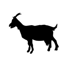 Goat silhouette icon symbol