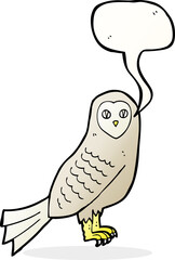 cartoon owl with speech bubble