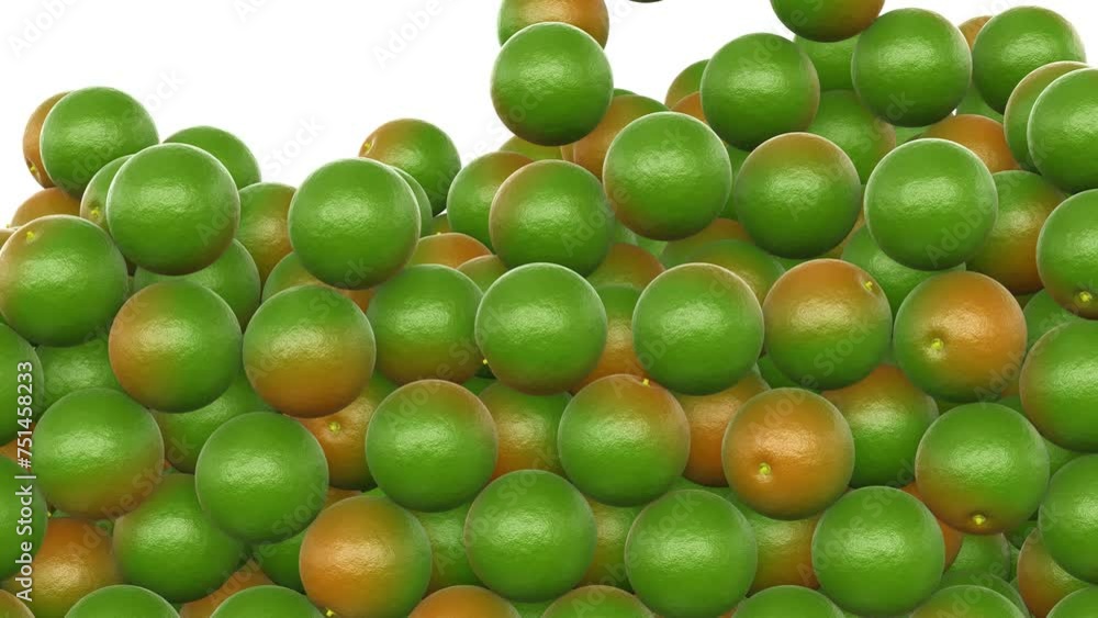 Poster realistic 3d animation of the fresh ripe calamansi aka philippine limes falling from the top filling