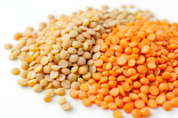 Fresh lentils arranged neatly on a white surface, symbolizing nutritious and versatile legumes