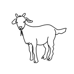 Obraz na płótnie Canvas Outline draw goat