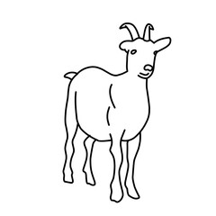 Fototapeta premium Outline draw goat