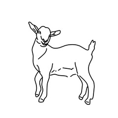 Outline draw goat