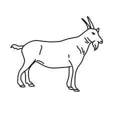 Obraz na płótnie Canvas Outline draw goat