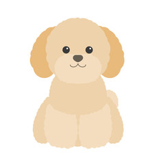 トイプードルのかわいいシンプルなイラスト、正面を向いて座る犬