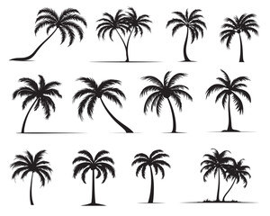Naklejka premium palm tree silhouettes. vector illustration
