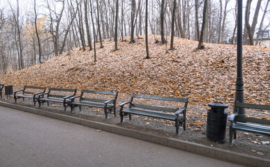 benches lined up against the background of a hillock strewn with yellow leaves with growing trees