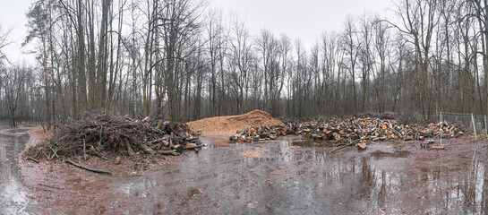 sawmill with logs and sawdust in an autumn park against the background of trees
