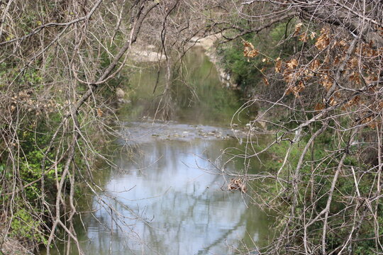 White Rock Creek is a major watershed urban creek that can be like a small river.  This view  is near where it enters White Rock Lake above the dam and tidal pools as it flows toward the Trinity River