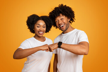 Cheerful young african american man and woman doing fist bump