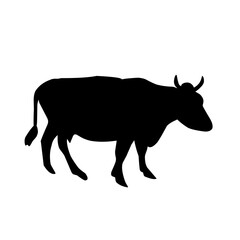 Black silhouette cow