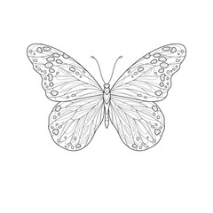 Butterfly.Coloring book antistress for children and adults. Illustration isolated on white background. 