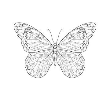 Butterfly.Coloring book antistress for children and adults. Illustration isolated on white background. 