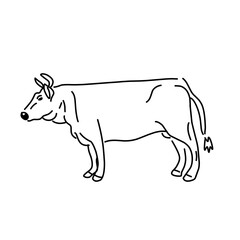 Cow animal line icon