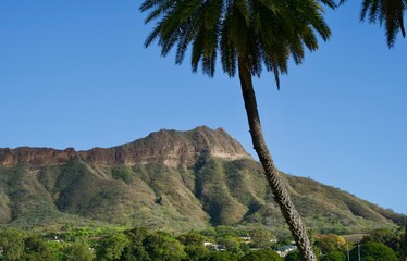 View of palm trees and Diamond Head from Kapiolani Park
