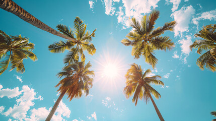 Palm trees reach skyward, their fronds silhouetted against a bright blue sky dotted with fluffy white clouds.