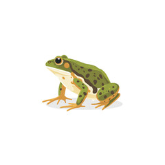 Obraz premium green frog cartoon