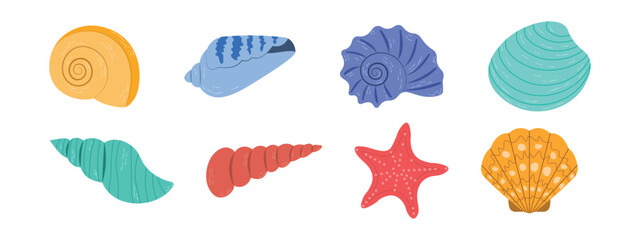 Obraz premium Set of colored sea shells, starfish, sea snails, illustration of sea shells on a white background.