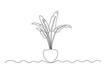Continuous one line drawing of house plant in pot. Beautiful home flower in simple linear style vector illustration
