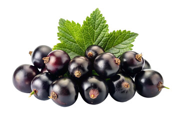 blackcurrant fruit on a transparent background