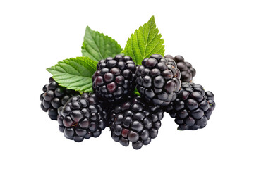 blackberry fruit on a transparent background
