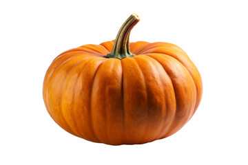 pumpkin on a transparent background