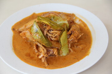 popular yummy indonesia spicy malay halal food menu curry chicken, rendang beef, asap fish, fried vegetable, begedil potato, chilli sambal achar, egg cuisine for restaurant dining
