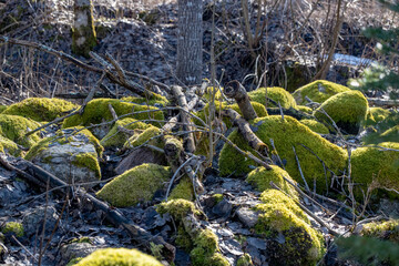 pile of green soft moss covered granite boulder rocks