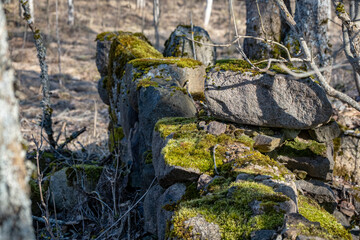 moss covered old ruined wall made of granite boulders