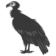 Fototapeta premium Silhouette vulture bird animal black color only